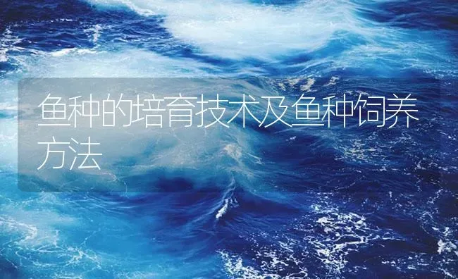 鱼种的培育技术及鱼种饲养方法 | 淡水养殖