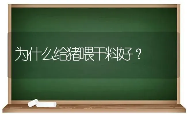 为什么给猪喂干料好？ | 家畜养殖