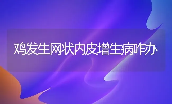 鸡发生网状内皮增生病咋办 | 家禽养殖