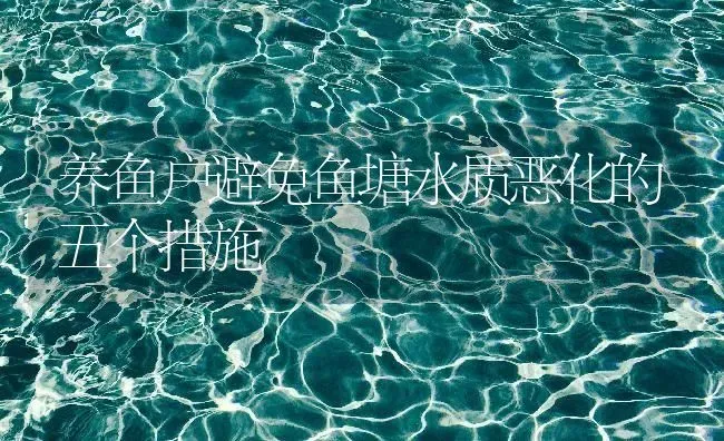 养鱼户避免鱼塘水质恶化的五个措施 | 动物养殖百科