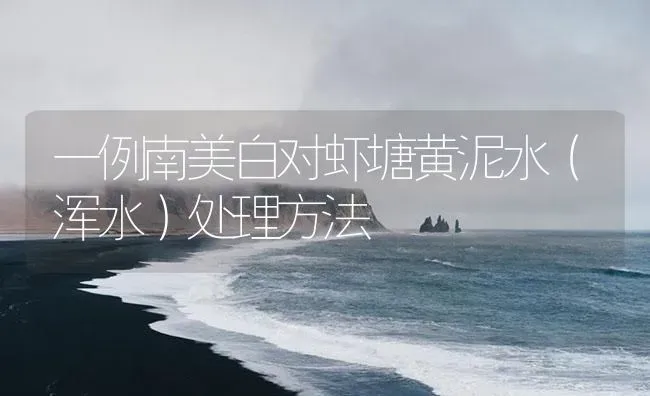 一例南美白对虾塘黄泥水（浑水）处理方法 | 海水养殖