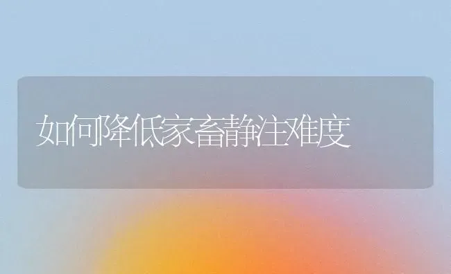 如何降低家畜静注难度 | 家畜养殖
