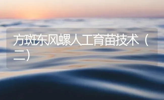 方斑东风螺人工育苗技术（二） | 海水养殖