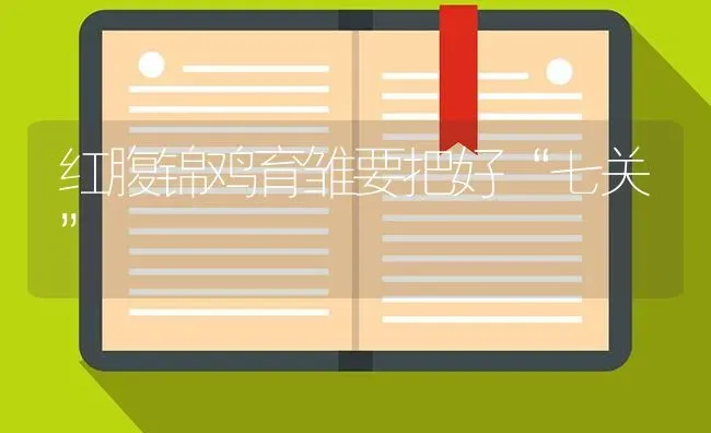红腹锦鸡育雏要把好“七关” | 家禽养殖