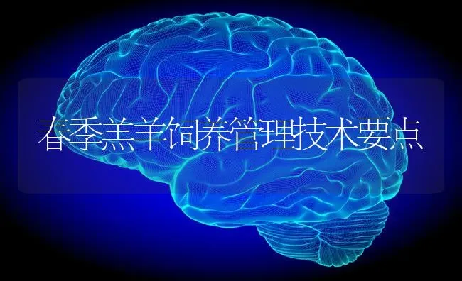 春季羔羊饲养管理技术要点 | 家畜养殖