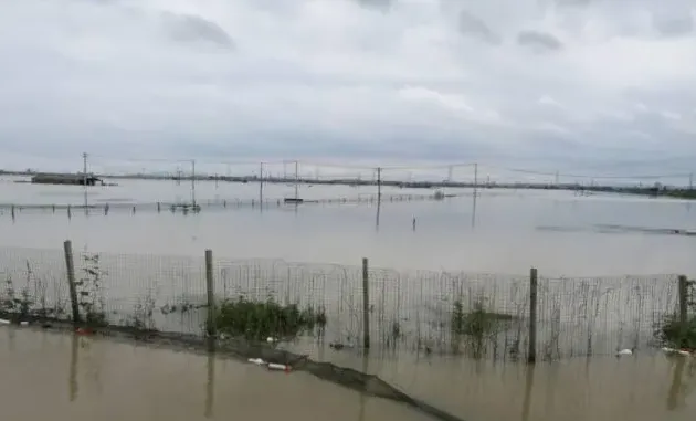 暴雨水灾过后养鱼塘河蟹塘的管理方法