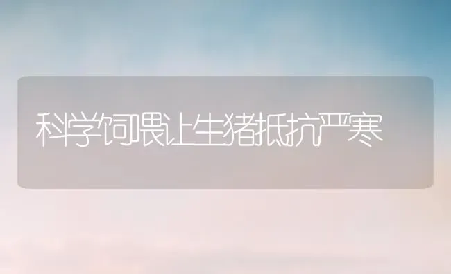 科学饲喂让生猪抵抗严寒 | 家畜养殖