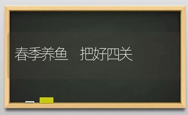 春季养鱼 把好四关 | 淡水养殖