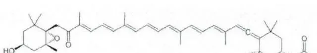 岩藻黄质的理化性质及生物活性