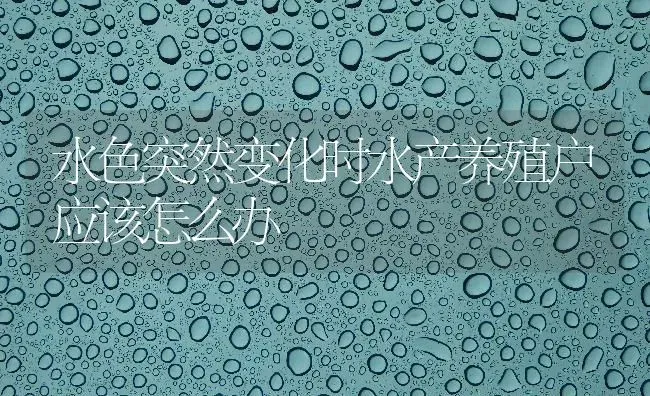 水色突然变化时水产养殖户应该怎么办 | 动物养殖百科