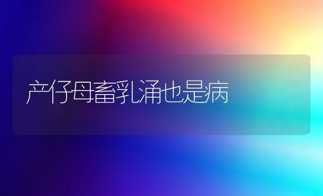 产仔母畜乳涌也是病 | 家畜养殖
