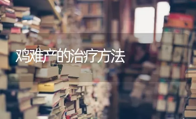 鸡难产的治疗方法 | 家禽养殖