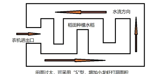 这样建设出来的才是高产的稻虾池塘！