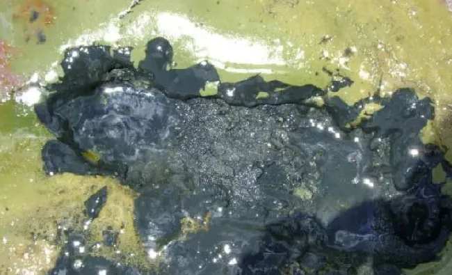 水产养殖硫化物危害养殖动物处理两例