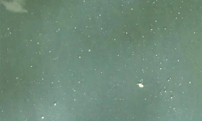 收获的季节，别让气泡问题影响您的出鱼效益！