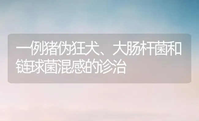一例猪伪狂犬、大肠杆菌和链球菌混感的诊治 | 家畜养殖