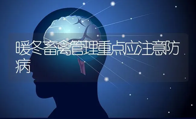 暖冬畜禽管理重点应注意防病 | 家禽养殖