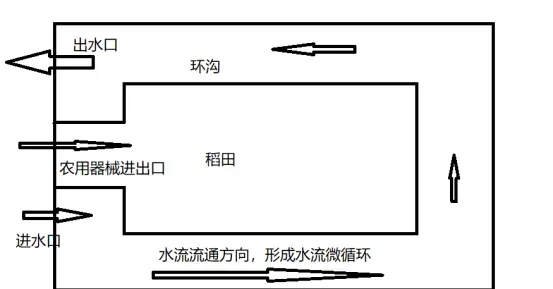 这样建设出来的才是高产的稻虾池塘！