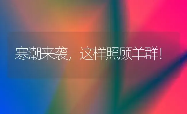 寒潮来袭，这样照顾羊群！ | 家畜养殖