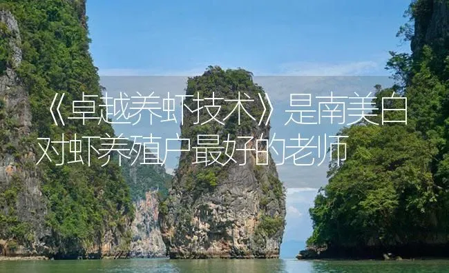 《卓越养虾技术》是南美白对虾养殖户最好的老师 | 海水养殖
