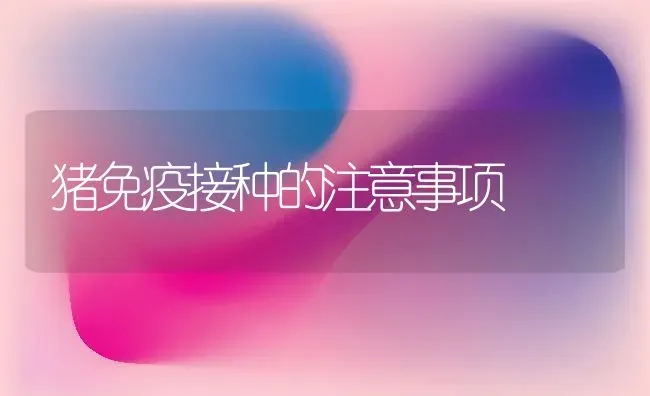 猪免疫接种的注意事项 | 家畜养殖