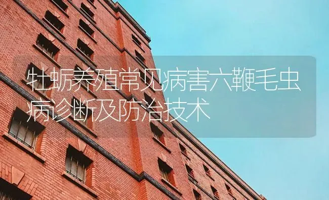 牡蛎养殖常见病害六鞭毛虫病诊断及防治技术 | 养殖病虫害防治