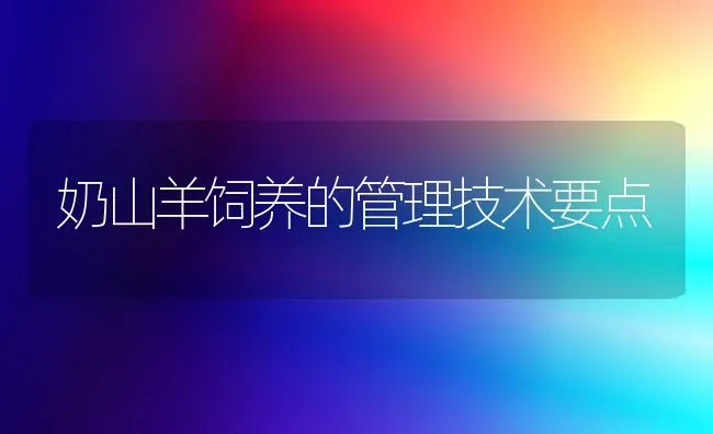 奶山羊饲养的管理技术要点 | 家畜养殖