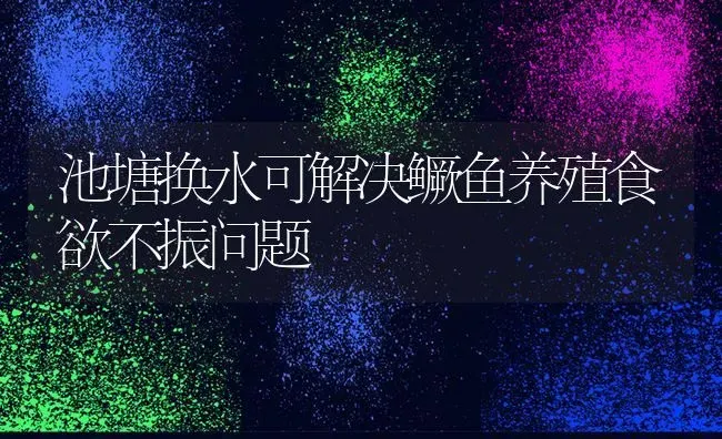 池塘换水可解决鳜鱼养殖食欲不振问题 | 淡水养殖