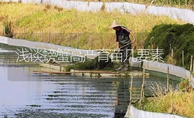 浅谈螃蟹高产育苗几要素 | 淡水养殖