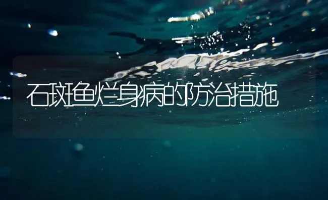 石斑鱼烂身病的防治措施 | 海水养殖