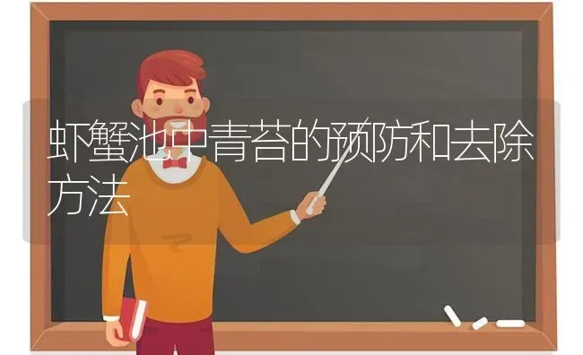 虾蟹池中青苔的预防和去除方法 | 动物养殖百科