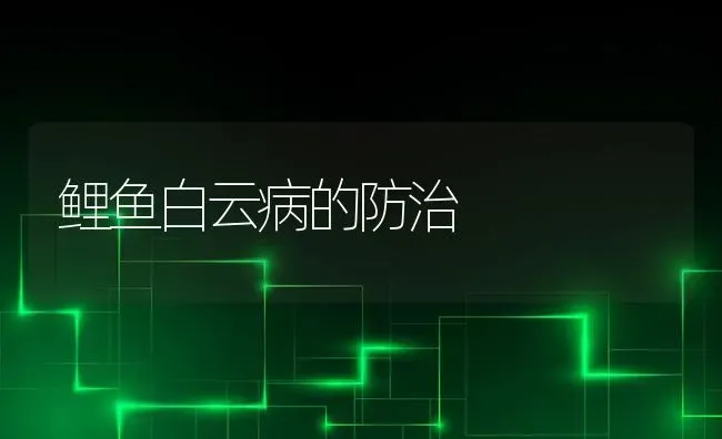 鲤鱼白云病的防治 | 淡水养殖