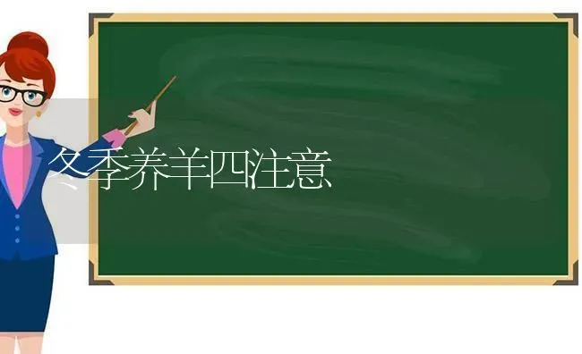 冬季养羊四注意 | 家畜养殖