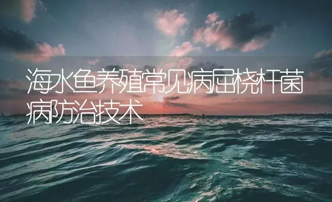 海水鱼养殖常见病屈桡杆菌病防治技术 | 养殖病虫害防治