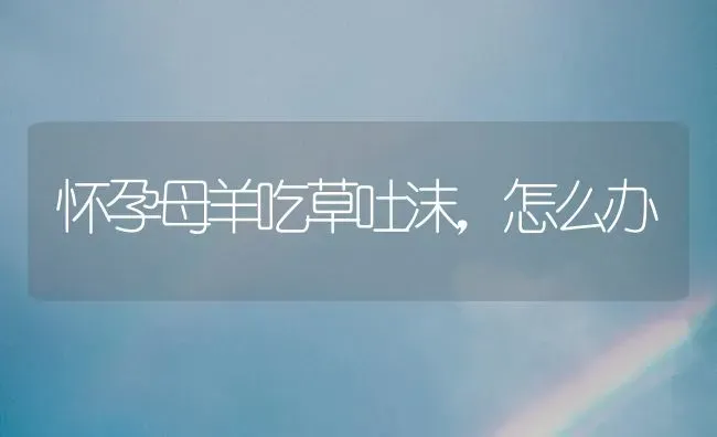 怀孕母羊吃草吐沫，怎么办 | 家畜养殖