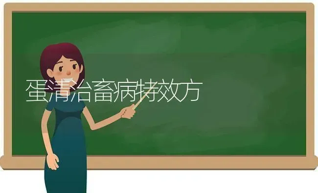 蛋清治畜病特效方 | 家畜养殖