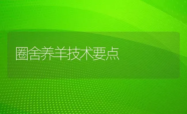 圈舍养羊技术要点 | 家畜养殖