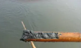 水产养殖硫化物危害养殖动物处理两例