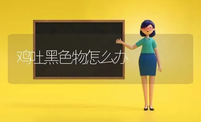 鸡吐黑色物怎么办 | 家禽养殖