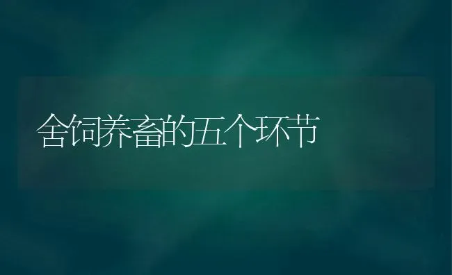 舍饲养畜的五个环节 | 家畜养殖