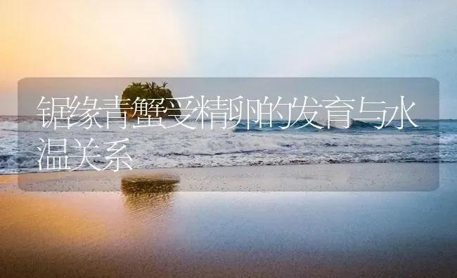 锯缘青蟹受精卵的发育与水温关系 | 海水养殖