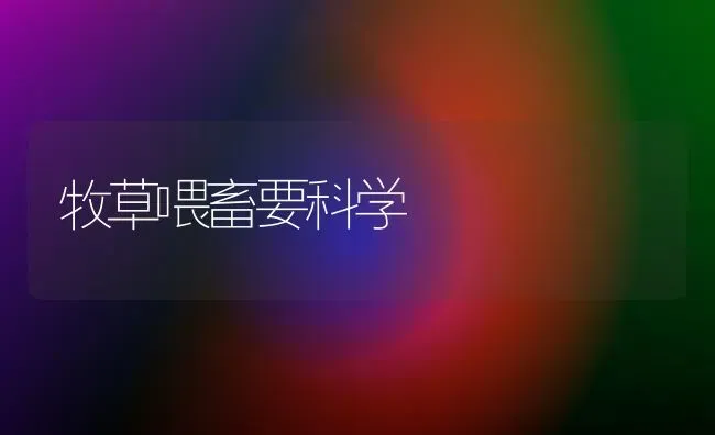 牧草喂畜要科学 | 家畜养殖