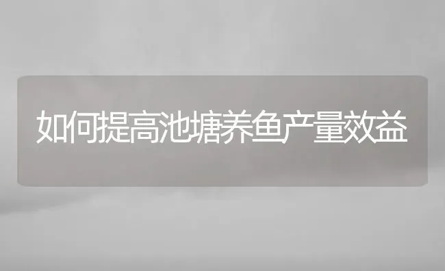 如何提高池塘养鱼产量效益 | 特种养殖