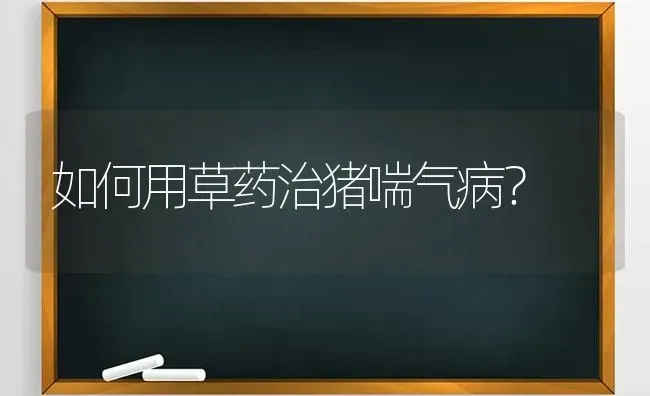 如何用草药治猪喘气病？ | 养殖病虫害防治