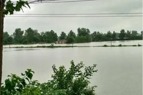 暴雨水灾过后养鱼塘河蟹塘的管理方法