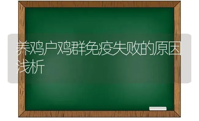 养鸡户鸡群免疫失败的原因浅析 | 家禽养殖