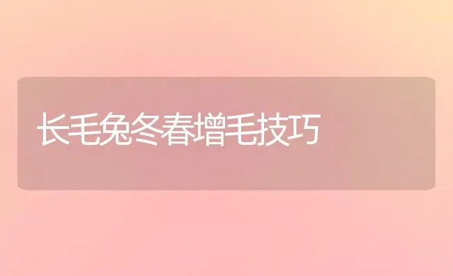 长毛兔冬春增毛技巧 | 家畜养殖