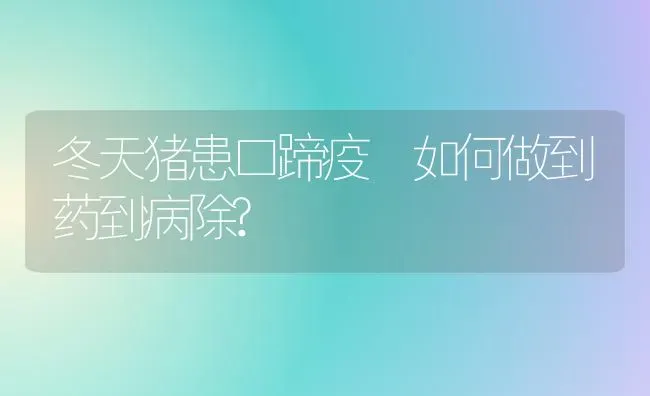 冬天猪患口蹄疫 如何做到药到病除? | 养殖病虫害防治