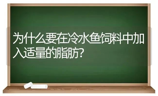 为什么要在冷水鱼饲料中加入适量的脂肪？ | 动物养殖饲料