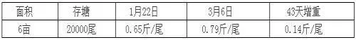 谁说冬季草鱼养殖户投料不长鱼？